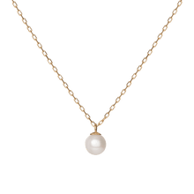 Load image into Gallery viewer, Ue86c146042bd449a83bbe69a95171ca7C.png
